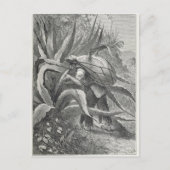 Carte Postale Extraction du pulque (Devant)