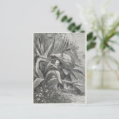 Carte Postale Extraction du pulque (Debout devant)