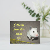 Carte postale Extreme Hamster (Debout devant)
