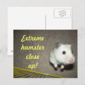 Carte postale Extreme Hamster (Devant / Derrière)