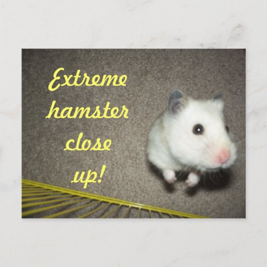 Carte postale Extreme Hamster (Devant)