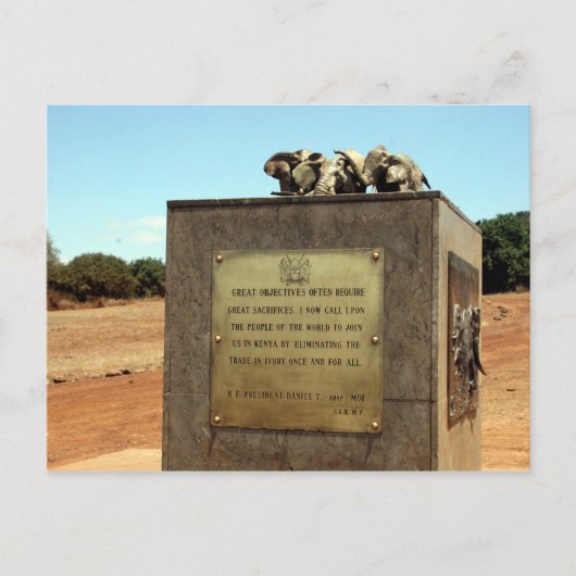 Carte Postale extrémité de poche (Devant)