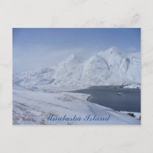 Carte Postale extrémité sud de la baie Captain, île Unalaska