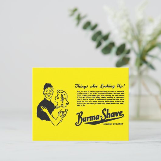 Carte Postale Eye birmane Shave Adoring (Debout devant)