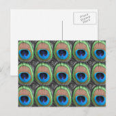 Carte Postale Eyes Peacock (Devant / Derrière)
