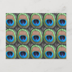 Carte Postale Eyes Peacock