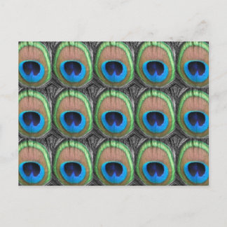 Carte Postale Eyes Peacock