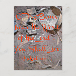 Carte Postale Ezekiel Bible O os secs