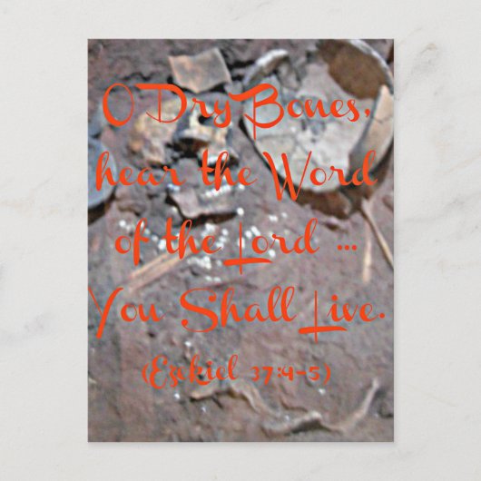 Carte Postale Ezekiel Bible O os secs (Devant)