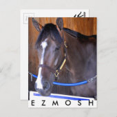 Carte Postale Ezmosh (Devant / Derrière)