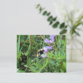 Carte Postale F2 Bee sur Fleurs sauvages violets (Debout devant)