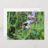 Carte Postale F2 Bee sur Fleurs sauvages violets (Devant / Derrière)
