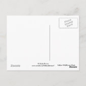 Carte Postale F8 Fleur sauvage jaune Gaillardia (Dos)