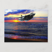 CARTE POSTALE F-14 TOMCAT (Devant)