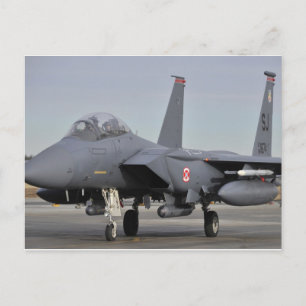 Carte Postale F-15E Aigle de grève