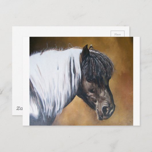 Carte Postale FAA-AfroPony (Devant / Derrière)