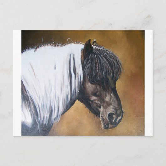 Carte Postale FAA-AfroPony (Devant)