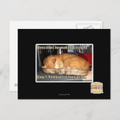 Carte Postale Fabrication de lasagnes (Devant / Derrière)