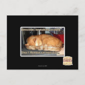 Carte Postale Fabrication de lasagnes (Devant)