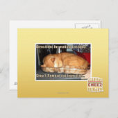 Carte Postale Fabrication de lasagnes (Devant / Derrière)