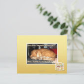 Carte Postale Fabrication de lasagnes (Debout devant)