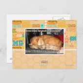 Carte Postale Fabrication de lasagnes (Devant / Derrière)