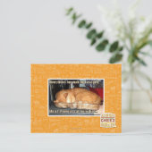 Carte Postale Fabrication de lasagnes (Debout devant)