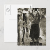 Carte Postale Fabrication de vin Vin 3 (Devant / Derrière)