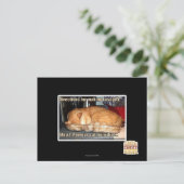 Carte Postale Fabrication du lasagne (Debout devant)