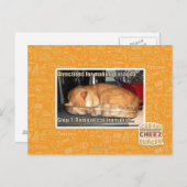 Carte Postale Fabrication du lasagne (Devant / Derrière)