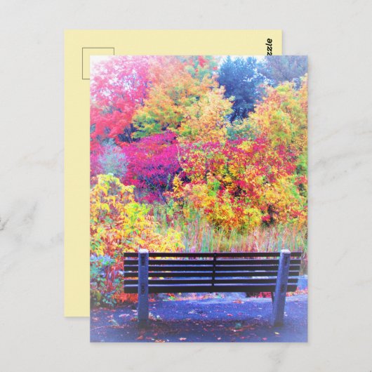 Carte Postale Fabulous Fall Colours Bench Automne Feuilles Pitto (Devant / Derrière)