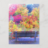 Carte Postale Fabulous Fall Colours Bench Automne Feuilles Pitto (Devant)