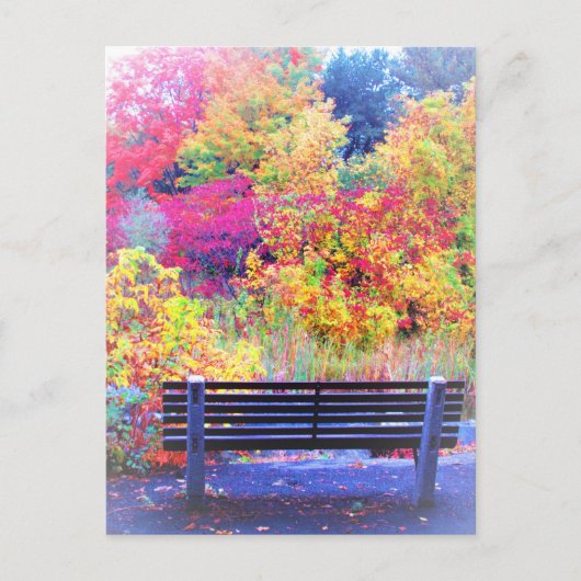 Carte Postale Fabulous Fall Colours Bench Automne Feuilles Pitto (Devant)