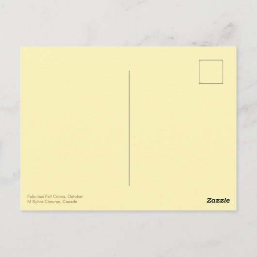 Carte Postale Fabulous Fall Colours Bench Automne Feuilles Pitto (Dos)