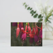Carte Postale Fabulous Fuscia (Debout devant)