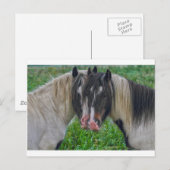 Carte Postale Face à face (Devant / Derrière)