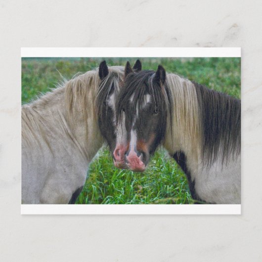 Carte Postale Face à face (Devant)