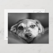 Carte Postale Face à face (Devant / Derrière)