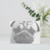 Carte Postale Face carlin (Debout devant)