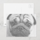 Carte Postale Face carlin (Devant / Derrière)