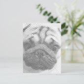 Carte Postale Face carlin (Debout devant)