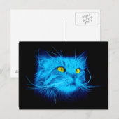 Carte Postale Face de chat bleu (Devant / Derrière)