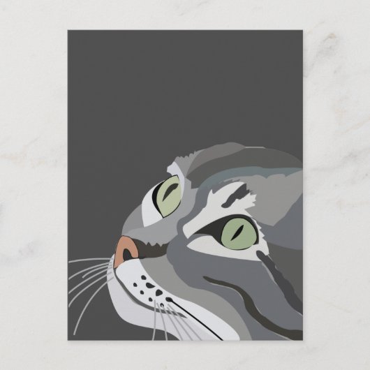 Carte Postale Face de chat gris (Devant)