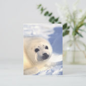 Carte Postale Face de joint (Debout devant)