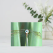 Carte Postale Face de libellule vers le haut (Debout devant)