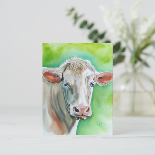 Carte Postale Face de vache (Debout devant)