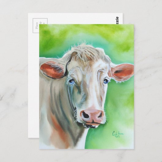 Carte Postale Face de vache (Devant / Derrière)