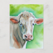 Carte Postale Face de vache (Devant)