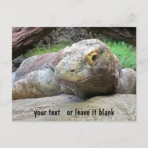 Carte Postale Face Komodo Dragon avec votre texte
