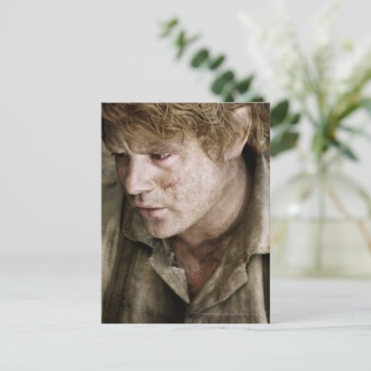 Carte Postale Face latérale Samwise (Debout devant)